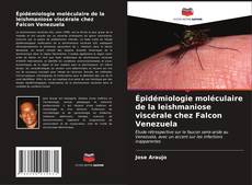 Portada del libro de Épidémiologie moléculaire de la leishmaniose viscérale chez Falcon Venezuela