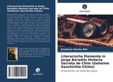 Buchcover von Literarische Elemente in Jorge Baradits Historia Secreta de Chile (Geheime Geschichte Chiles)