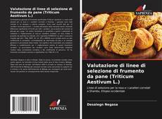Buchcover von Valutazione di linee di selezione di frumento da pane (Triticum Aestivum L.)