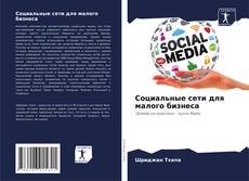 Социальные сети для малого бизнеса kitap kapağı