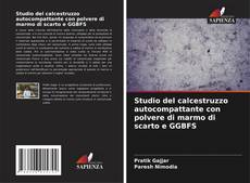 Buchcover von Studio del calcestruzzo autocompattante con polvere di marmo di scarto e GGBFS