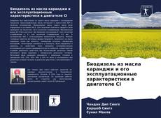 Bookcover of Биодизель из масла каранджи и его эксплуатационные характеристики в двигателе CI
