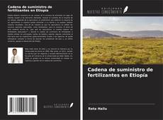 Cadena de suministro de fertilizantes en Etiopía kitap kapağı