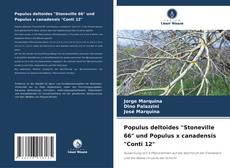 Buchcover von Populus deltoides "Stoneville 66" und Populus x canadensis "Conti 12"