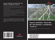 Populus deltoides "Stoneville 66" and Populus x canadensis "Conti 12" kitap kapağı