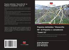 Populus deltoides "Stoneville 66" et Populus x canadensis "Conti 12" kitap kapağı