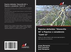 Bookcover of Populus deltoides "Stoneville 66" e Populus x canadensis "Conti 12"