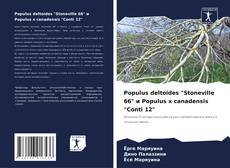 Populus deltoides "Stoneville 66" и Populus x canadensis "Conti 12" kitap kapağı