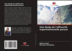 Buchcover von Une étude de l'efficacité organisationnelle perçue