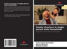 Buchcover von Family structure in single-parent male households