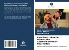 Buchcover von Familienstruktur in männlichen Alleinerziehenden-Haushalten