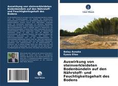 Capa do livro de Auswirkung von steinverkleideten Bodenbündeln auf den Nährstoff- und Feuchtigkeitsgehalt des Bodens 