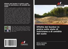 Capa do livro de Effetto del bunker in pietra sullo stato di nutrizione e di umidità del suolo 