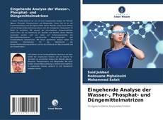 Bookcover of Eingehende Analyse der Wasser-, Phosphat- und Düngemittelmatrizen