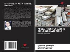 RECLAIMING FLY ASH IN BUILDING MATERIALS kitap kapağı
