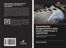 Capa do livro de Geoambiente, Idrogeochimica delle acque sotterranee e superficiali 