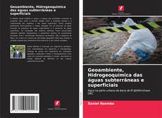 Geoambiente, Hidrogeoquímica das águas subterrâneas e superficiais的封面