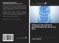 Tumores del estroma gastrointestinal de la A a la Z kitap kapağı