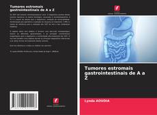 Обложка Tumores estromais gastrointestinais de A a Z