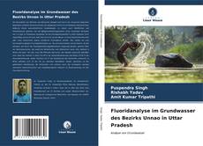 Fluoridanalyse im Grundwasser des Bezirks Unnao in Uttar Pradesh kitap kapağı