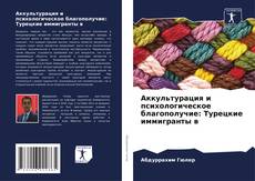 Bookcover of Аккультурация и психологическое благополучие: Турецкие иммигранты в
