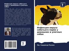 Bookcover of Инфекция вируса собачьего парво у домашних и уличных собак