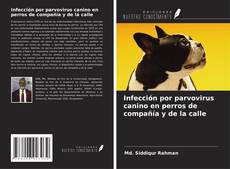 Capa do livro de Infección por parvovirus canino en perros de compañía y de la calle 