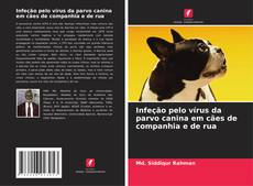 Infeção pelo vírus da parvo canina em cães de companhia e de rua的封面