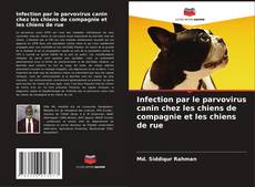 Portada del libro de Infection par le parvovirus canin chez les chiens de compagnie et les chiens de rue