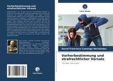 Bookcover of Vorherbestimmung und strafrechtlicher Vorsatz