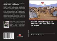 Conflit interethnique en Éthiopie : Le cas d'Alle et de Konso kitap kapağı