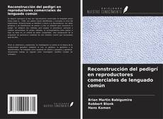 Buchcover von Reconstrucción del pedigrí en reproductores comerciales de lenguado común