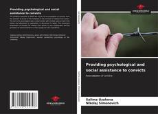Providing psychological and social assistance to convicts kitap kapağı