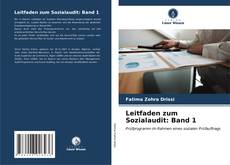 Copertina di Leitfaden zum Sozialaudit: Band 1