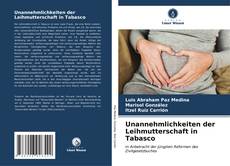 Capa do livro de Unannehmlichkeiten der Leihmutterschaft in Tabasco 