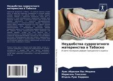 Buchcover von Неудобства суррогатного материнства в Табаско