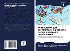 Capa do livro de Учреждения для регистрации и развития малых и средних предприятий 