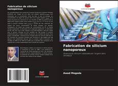 Capa do livro de Fabrication de silicium nanoporeux 
