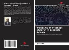 Polygamy and teenage children in Benguela - Angola kitap kapağı
