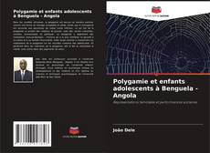 Обложка Polygamie et enfants adolescents à Benguela - Angola