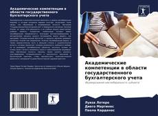 Buchcover von Академические компетенции в области государственного бухгалтерского учета
