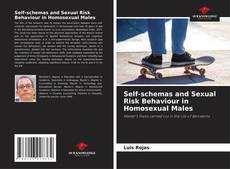 Capa do livro de Self-schemas and Sexual Risk Behaviour in Homosexual Males 