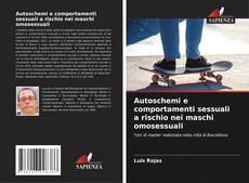 Bookcover of Autoschemi e comportamenti sessuali a rischio nei maschi omosessuali