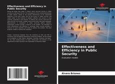 Bookcover of Effectiveness and Efficiency in Public Security