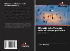 Capa do livro de Efficacia ed efficienza nella sicurezza pubblica 
