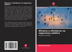 Bookcover of Eficácia e eficiência na segurança pública