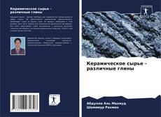Bookcover of Керамическое сырье - различные глины