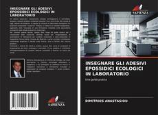 Buchcover von INSEGNARE GLI ADESIVI EPOSSIDICI ECOLOGICI IN LABORATORIO
