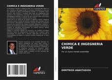 CHIMICA E INGEGNERIA VERDE kitap kapağı