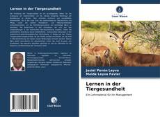 Bookcover of Lernen in der Tiergesundheit